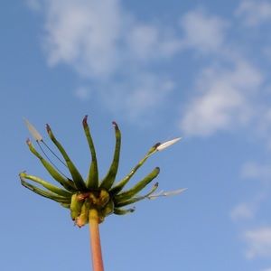 Meet your Posher, Delaney